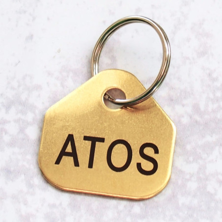 Gravírování mosazné psí známky ve tvaru domečku laserem na kovy černou bravou