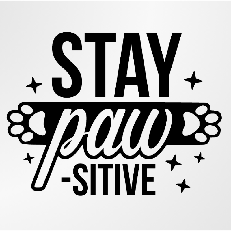 Jmenovka na psí boudu